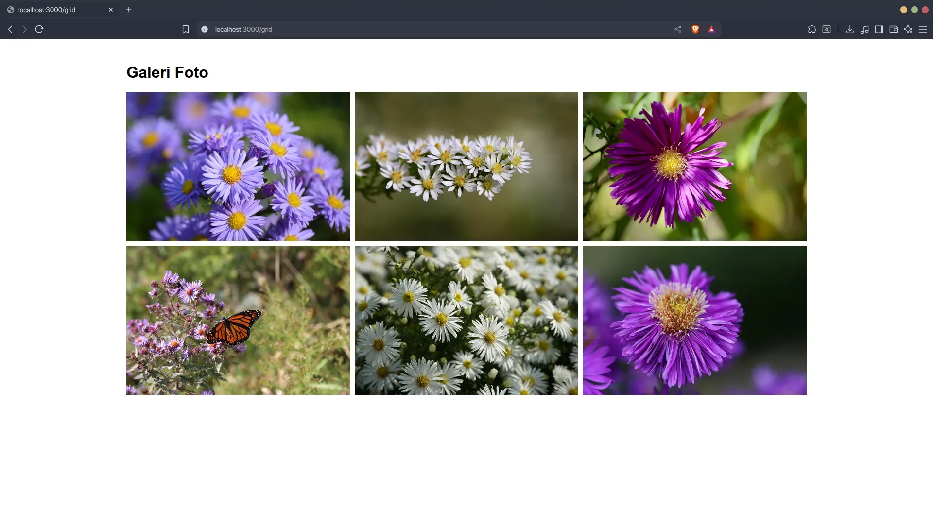 Galeri Grid dengan Style