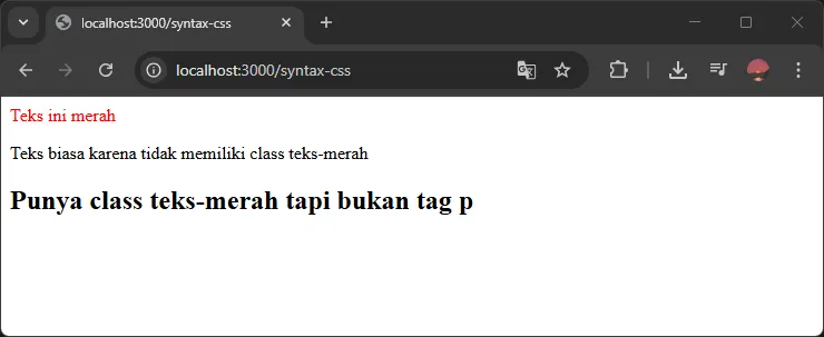 Hasil Tag dan Class Selector