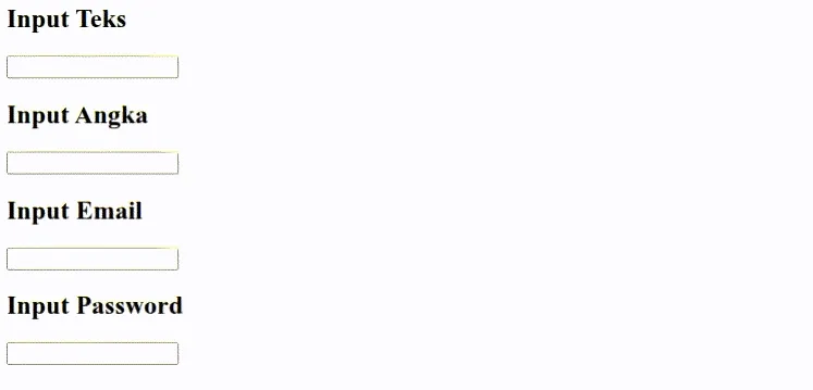 Input teks, angka, email, password
