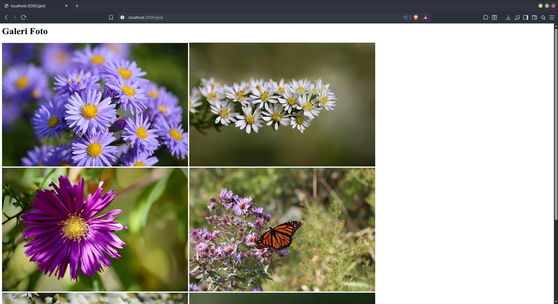 Kerangka Galeri Grid