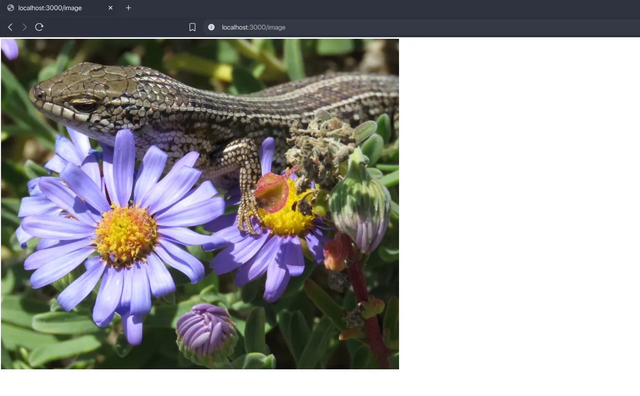 Menampilkan Gambar dari Website Lain